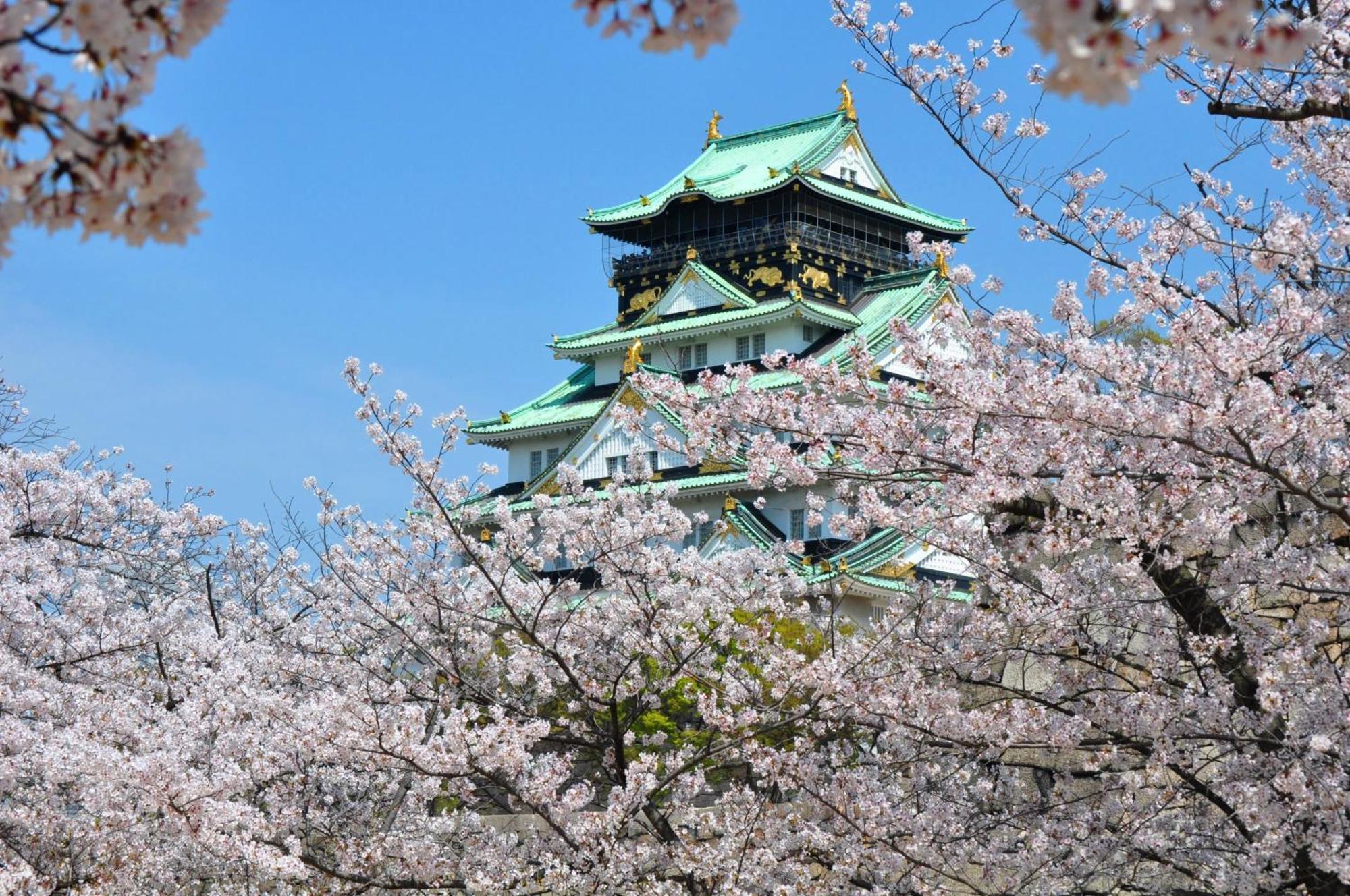 โรงแรมนิว โอตานิ โอซาก้า ภายนอก รูปภาพ Osaka Castle
