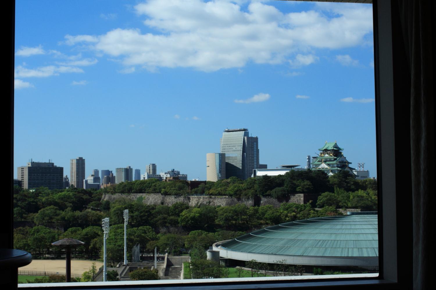โรงแรมนิว โอตานิ โอซาก้า ห้อง รูปภาพ Osaka skyline
